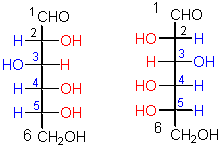 wpeD.gif (2542 bytes)