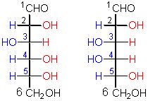 wpeE.gif (2516 bytes)