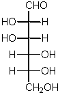 wpe1.gif (1545 bytes)