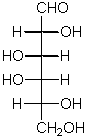 wpe2.gif (1515 bytes)