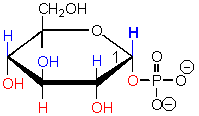 wpeB.gif (2102 bytes)